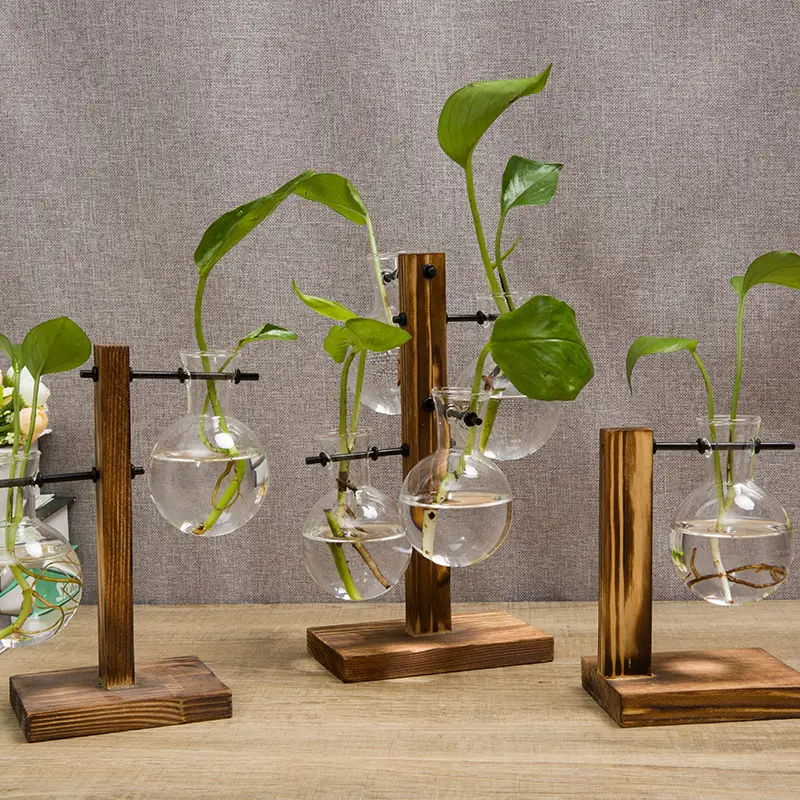 Simple creative glass wooden frame hydroponic green dill plant transparent bottle vase