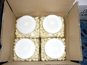 Ajo Pelado en Frasco, Granulado de Ajo Premium en Botella con Nitrógeno, Aprobado por BRC, Condimento para la Industria Alimentaria - Product Image 5