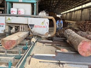 Blanco imprimado FJ Radiata Pino Single Rabbet Jamb Puerta Jamb - Product Image 6