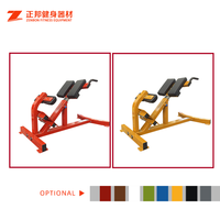 Équipement de gymnastique Offre Spéciale de haute qualité Machine d'extension de dos d'exercice intérieur