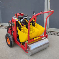 Planteuse d'ail manuelle à pousser, nouveau design, pour l'agriculture