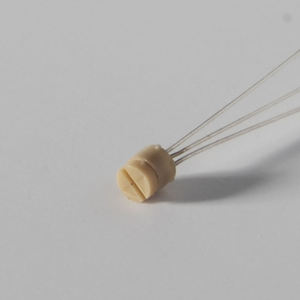 1.9 mm Eastern <b>Push</b> <b>Button</b> Memory <b>Switch</b> Hearing Aids Spare Parts for Customized CIC/ITC/ITE 1.9 mm <b>Push</b> <b>Button</b> Memory <b>Switch</b> - Product Image 5