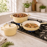 Ensemble de 5 pièces de batterie de cuisine en fonte émaillée avec poignées à double anse, couleurs disponibles, en stock, comprenant faitout, casserole et poêle