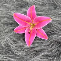 YOPIN-1710 Großhandel Hochzeit dekorative künstliche 3D-Druck Latex Lily Flower Head