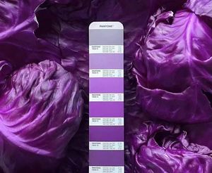 플라스틱 필름용 고농도 사전 분산 안색베이스 마스터 배치 (청색 UV) 마스터 배치 - Product Image 6