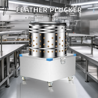 Nouvelles Machines de plumage de plumes de poulet à noyau de moteur en acier pour l'abattoir de Restaurant de vente au détail de ferme à la maison