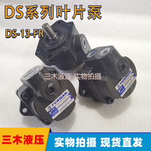 Pompe à aubes Funan DS-13-FR, 1 étage, en fonte, hydraulique, à cylindrée fixe - Product Image 5