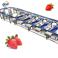 Multi-level gewichtsclassificatiemachine voor het sorteren van fruit en groenten, hoge efficiëntie, op maat gemaakt, 3-18 sorteerstanden