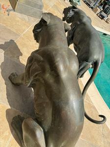 청동 주조 공장 판매 구리 황동 조각 실물 같은 야외 장식 야외 용 청동 포효 호랑이 동상 - Product Image 6