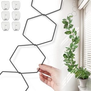 Treillis à chaîne hexagonale en acier au carbone pour <span class=keywords><strong>plantes</strong></span> d'intérieur, <span class=keywords><strong>grille</strong></span> de support pour <span class=keywords><strong>plantes</strong></span> <span class=keywords><strong>grimpantes</strong></span> - Product Image 1