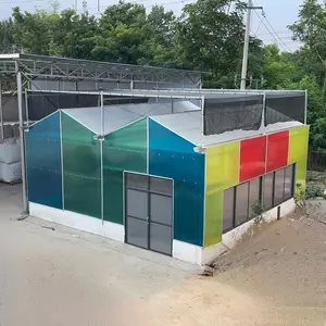 Outdoor Decoration Colored Triple Wall Polycarbonate Pc Sheet