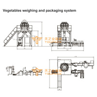 Machine de remplissage automatique de fruits à grande vitesse pour l'emballage alimentaire de cerises, myrtilles, fraises, oranges, poivrons verts en sachet