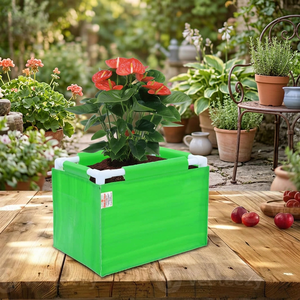 Casa De Amor - Bolsa de Cultivo Rectangular Reutilizable de HDPE de 260 GSM con Soporte de Tubo de PVC, 1.5x1x1 pies, Protección UV, Verde (Paquete de 1) - Product Image 2
