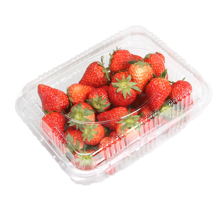 Big Capacity Clear Plastic Hinged Take