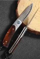 Japanische Premium 67-Lagen Damaskus Stahl VG10 Klappmesser Liner Lock America Desert Ironwood Griff für Outdoor Camping Messer