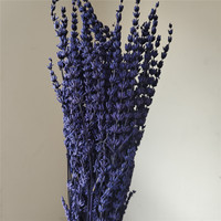 Buket Bunga Lavender Alami yang Diawetkan, Bunga Kering untuk Dekorasi Resin, Dekorasi Rumah, Hari Valentine, Dekorasi Natal, Dikemas dalam Kantong