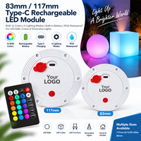Wiederaufladbare IP65 Wasserdichte RGB LED-Batterielampe mit Fernbedienung Dimmbar für Hotel-Flaschen & Innen-/Außenbeleuchtung