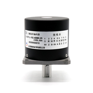 Codificador Incremental Changchun Yuheng B-ZXF-L-102.4BM0.25-C05L-6m con Conector de Montaje en Brida y Eje Vertical - Product Image 2