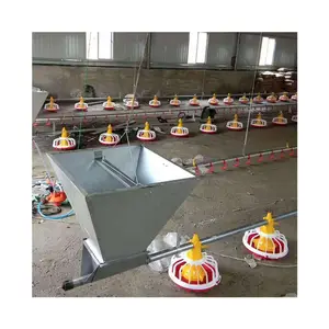 Poultry Houses Auto-Feeding and Drinking System Automatic Poultry Chicken Feeding System