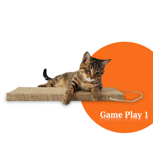 Nuovi articoli caldi personalizzati Design unico appeso gatto graffio ondulato - Product Image 5