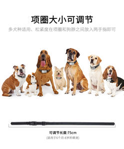 Control de reconocimiento de ladridos para mascotas inteligentes para interiores y exteriores, tono de advertencia, vibración, Choque estático, Collar de entrenamiento para perros antiladridos recargable - Product Image 5