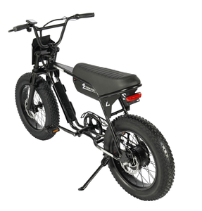 Bicicleta Eléctrica de Montaña con Neumáticos Gruesos de 20 Pulgadas, 750W, Todoterreno, con Doble Freno de Disco, Disponible en EE. UU. - Product Image 2