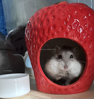 Le hamster élégant en céramique fournit un nid de refroidissement sous la forme d'une cachette de baies ovales pour se cacher ou se détendre pour les propriétaires d'animaux de compagnie