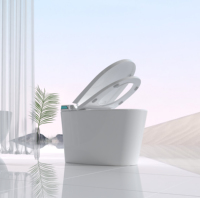 Siège de toilette intelligent moderne populaire à poser au sol, en céramique, avec chasse d'eau par siphon S/P, déodorisation automatique et veilleuse