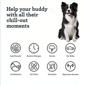 ขนมเคี้ยวเนื้อนุ่มธรรมชาติสำหรับสัตว์เลี้ยง ช่วยผ่อนคลายสำหรับสุนัขและแมว รสชาติตามสั่ง ผลิตภัณฑ์เสริมอาหารเพื่อสุขภาพออร์แกนิก ขนมเคี้ยวเนื้อนุ่มสำหรับสุนัขและแมว - Product Image 2