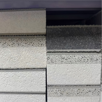 Panneau composite XPS en béton coulé, coffrage externe intégré permanent pour l'isolation thermique des murs de construction, directement de l'usine