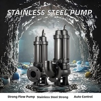 Bomba Sumergible de Drenaje de Alto Caudal 264GPM WQ 5HP SS304, Altura de Elevación 164ft, DN50, con Brida, para Aguas Residuales