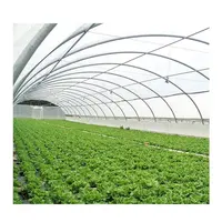 Agricultural Greenhouse Polytunnel Greenhouse For Tomato Agricultural Farming High Tunnel Agriculture Intelligent Green House