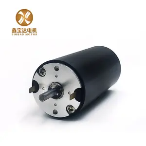 3571 Động Cơ Sử Dụng Cho Thịt Slicer 35 Mét Coreless Bàn Chải Carbon 24V Động Cơ Dc