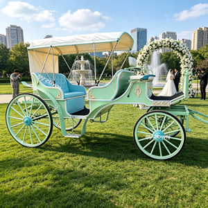 Carruaje Turístico con Interior Acogedor y Amplio Espacio para Sentarse, Ideal para Parques de Diversiones, Eventos Románticos y Turismo Focado en la Comodidad - Product Image 1