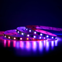 Bande LED à pixels adressables COXO WS2811, contrôle SPI, 12V 24V avec circuit intégré externe, corps en cuivre pour éclairage de projet personnalisé