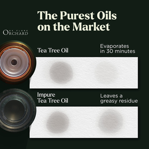 Paquete de 6 aceites esenciales de aromaterapia puros de 10ml, juego de 100% eucalipto Natural, lavanda, hierba de limón, naranja, menta, árbol de té - Product Image 4