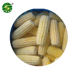 Fresh Product Supply New Harvest HALAL Certified IQF Frozen Sweet Corn