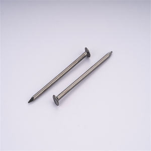 Günstiger Preis für Umbrella Head Dach nägel Wellpappe nägel Verzinkt mit Gummis cheibe - Product Image 4