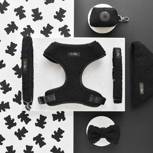 SinSky Teddy <span class=keywords><strong>Dog</strong></span> Arnés Set Diseñador de lujo Collares de perro personalizados y correas a juego Logotipo de goma - Product Image 5