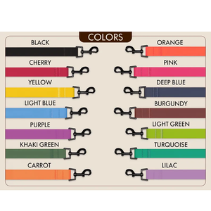 Kişiselleştirilmiş PVC tasma su geçirmez PVC köpek tasma yaka kolay temiz köpek tasmaları takım Pet dişli avcılık için - Product Image 5