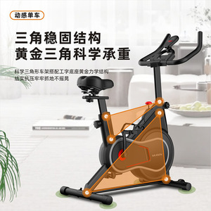 Bicicleta de spinning con resistencia magnética ajustable, bicicleta de ejercicio para interiores, para fitness en casa, unisex - Product Image 3