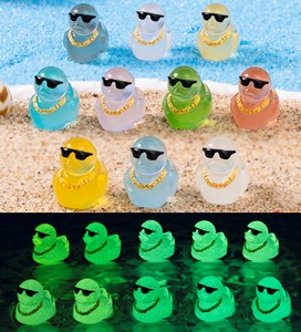 Patitos Decorativos que Brillan en la Oscuridad, Figuras de Resina en Miniatura, Estilos Creativos Surtidos, Adornos para Micropaisajes, Venta al Por Mayor - Product Image 6