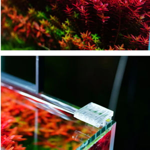 Pompe péristaltique Magic Point D2 D4 <span class=keywords><strong>pour</strong></span> aquariums et réservoirs, système de titration à 2/4 têtes, application automatique d'<span class=keywords><strong>engrais</strong></span> <span class=keywords><strong>liquide</strong></span>, réservoir marin - Product Image 4