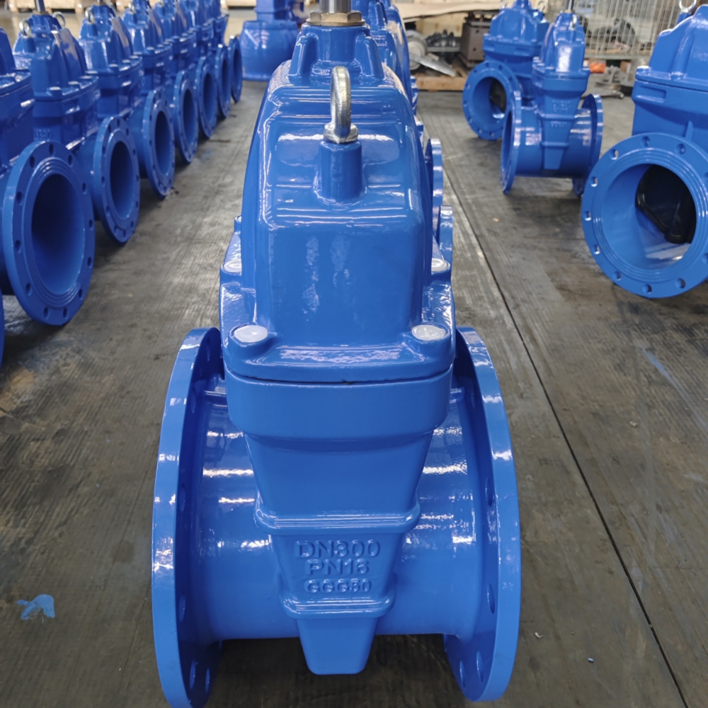 Gate Valve 50 mm Dia