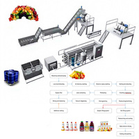 ISO 9001/CE Goedgekeurde, zuinige, hoog-efficiënte, volautomatische industriële apparatuur voor de productie van vruchtensap