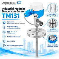 Sensor Suhu Tinggi Endress Hauser TM131 Pt100 RTD Thermocouple dengan Tabung Pelindung