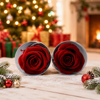 Bouquet de roses éternelles OEM pour la Saint-Valentin et Noël, fleurs préservées avec tiges, cadeaux d'entreprise, rose éternelle