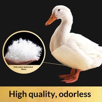Coussins de canapé et oreillers en duvet de canard blanc lavé, 2-4 cm, propres et sans odeur ; Rembourrage en duvet/plumes pour sièges, vente en gros