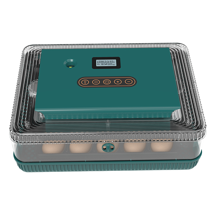 HHD WONEGG новый продукт полностью автоматический мини-инкубатор 25 яиц для куриных яиц