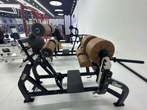 Equipo de Gimnasio para Desarrollo Muscular, de Acero Galvanizado Comercial, con Personalización del Color del Logotipo de Fábrica, Seguro y Estable, para Glúteos y Isquiotibiales - Product Image 2